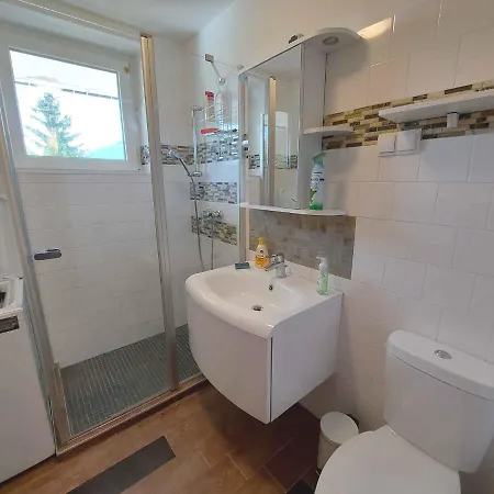 In - Steiermark 41123 Apartment Bad Mitterndorf