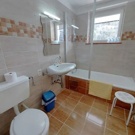 In - Steiermark 41123 Apartment Bad Mitterndorf