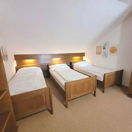 In - Steiermark 41123 Apartment