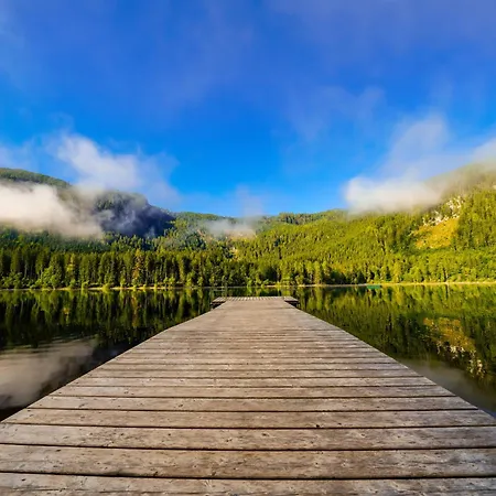 In - Steiermark 41123