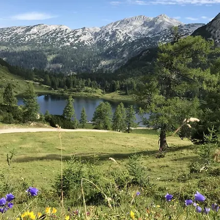 In - Steiermark 41123 Apartamento *