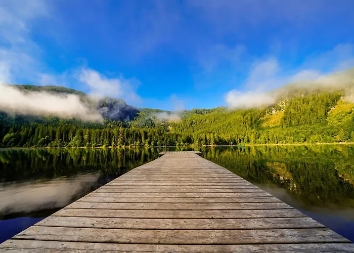 In - Steiermark 41123