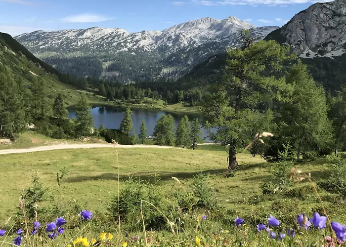 In - Steiermark 41123 Апартаменты *